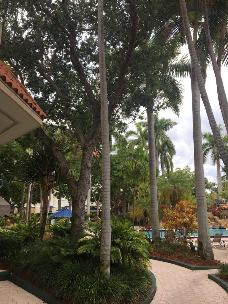 Boca Raton Marriott Renaissance