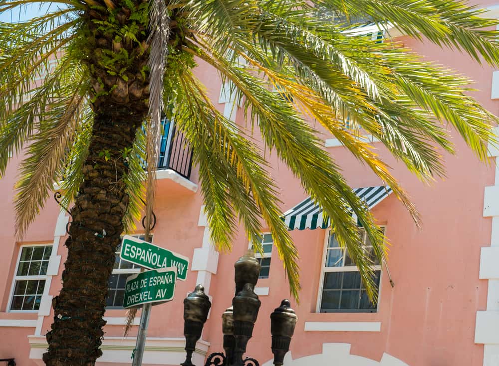 palm tree, pink building, Espanola way street sign